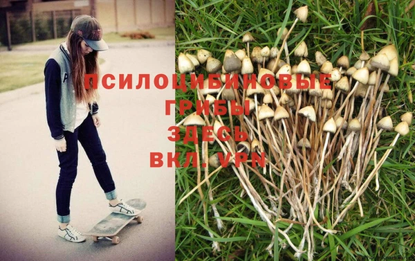 ешки Верея