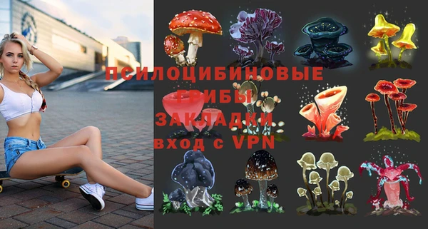 ешки Верея