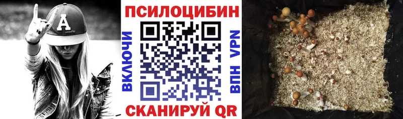 Галлюциногенные грибы ЛСД  как найти   KRAKEN вход  Ногинск 